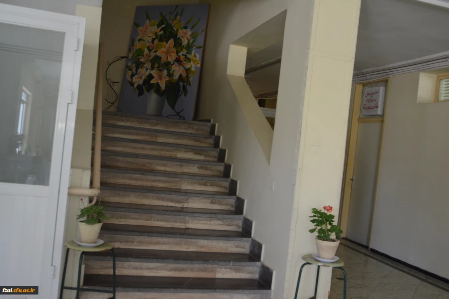 هفته خوابگاه ها