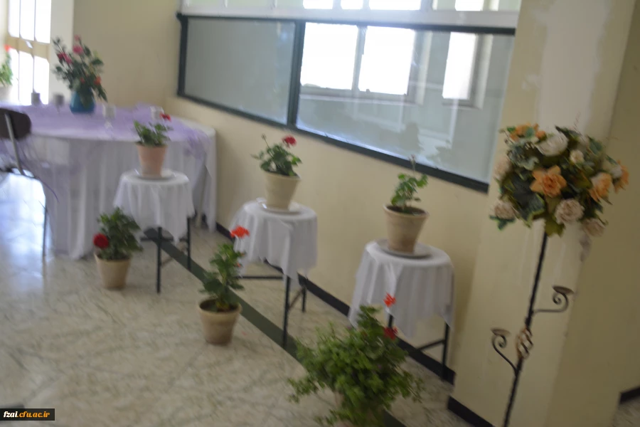 هفته خوابگاه ها