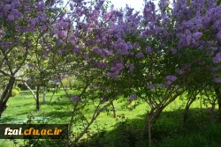 پردیس فاطمه زهرا (س)