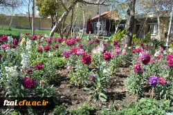 پردیس فاطمه زهرا (س)