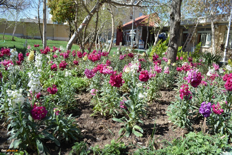 پردیس فاطمه زهرا (س)