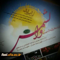 نمایشگاه هنری مفهومی 