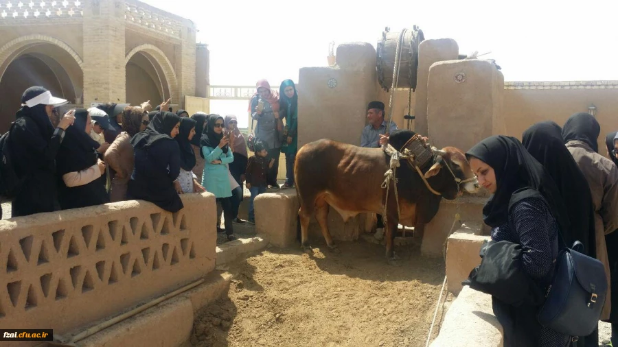 اردوی یک روزه ورزنه