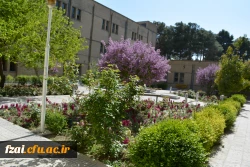 جلوه های ویژه