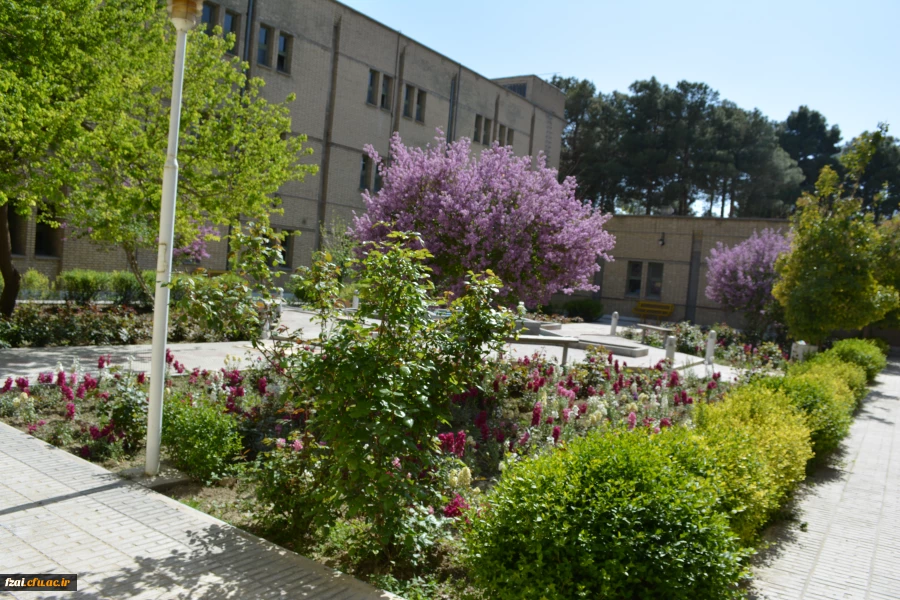 جلوه های ویژه