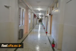 جلوه های پردیس