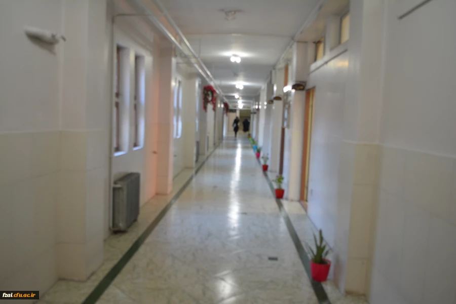 جلوه های پردیس