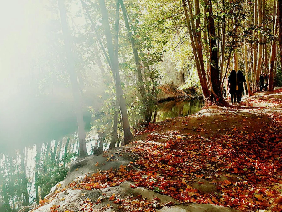 برگزاری اردوی یک روزه باغ بهادران به مناسبت هفته تربیت بدنی