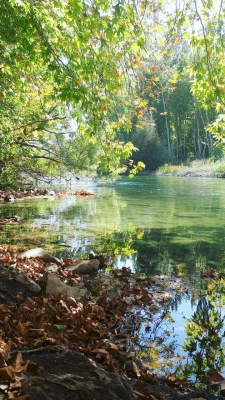 برگزاری اردوی یک روزه باغ بهادران به مناسبت هفته تربیت بدنی