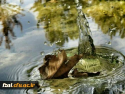 برگزاری اردوی یک روزه باغ بهادران به مناسبت هفته تربیت بدنی