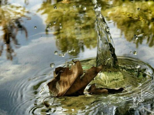 برگزاری اردوی یک روزه باغ بهادران به مناسبت هفته تربیت بدنی