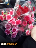 بازدید از آسایشگاه جانبازان گلدشت نجف آباد در تاریخ ۲ اردیبهشت ۹۷، با تدارک و برنامه ریزی کانون سلامت پردیس فاطمه الزهرا(س)، به مناسبت روز جانباز و ولادت حضرت ابوالفضل(ع)