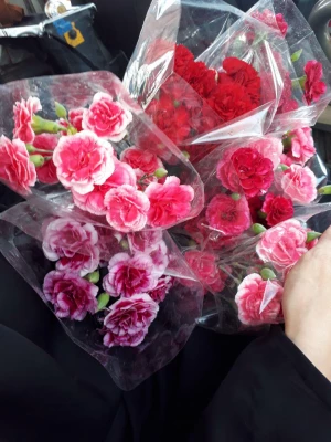 بازدید از آسایشگاه جانبازان گلدشت نجف آباد در تاریخ ۲ اردیبهشت ۹۷، با تدارک و برنامه ریزی کانون سلامت پردیس فاطمه الزهرا(س)، به مناسبت روز جانباز و ولادت حضرت ابوالفضل(ع)