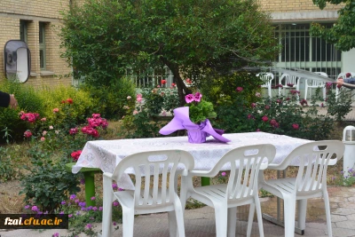 به روایت تصویر