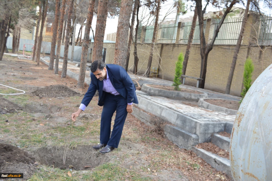 کاشت 130 اصله درخت آلبالو در پردیس فاطمه زهرا (س) اصفهان