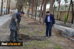 کاشت 130 اصله درخت آلبالو در پردیس فاطمه زهرا (س) اصفهان