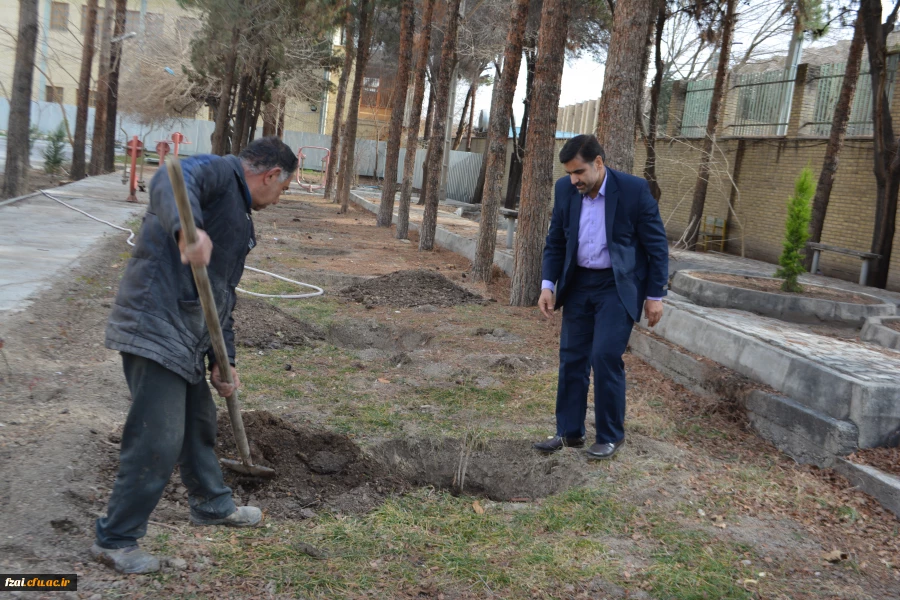 کاشت 130 اصله درخت آلبالو در پردیس فاطمه زهرا (س) اصفهان
