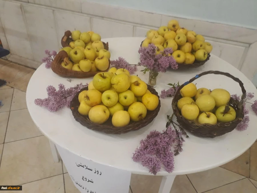 توزیع سیب به عنوان نماد سلامتی به مناسبت روز سلامت در پردیس فاطمه زهرا(س)