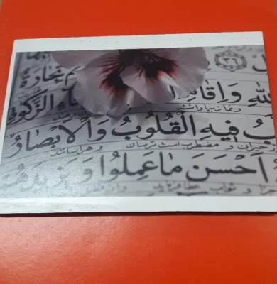 برپایی نمایشگاه آثار هنری 