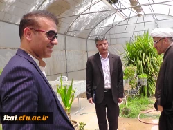 نشست صمیمی سرپرست  محترم به همراه رییس نهاد مقام معظم رهبری ،معاونت محترم توسعه منابع و امور دانشجویی و کارشناس مسئول نظارت و ارزیابی و امور حقوقی دانشگاه فرهنگیان استان اصفهان با کارکنان پردیس فاطمه زهرا(س)