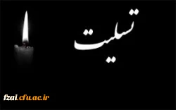 همکار بازنشسته گرامی جناب آقای محمود جعفری 