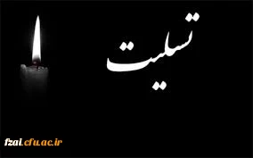 همکار بازنشسته گرامی جناب آقای محمود جعفری 