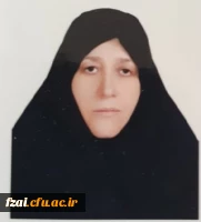 خانم همتی عکس