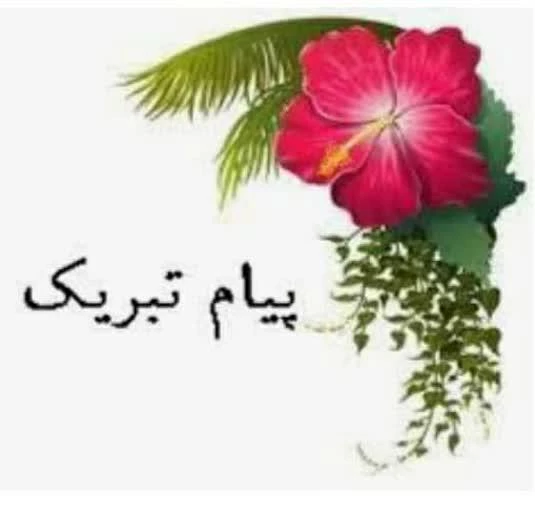 افتخار آفرینی دانشجو معلمان عزیز دانشگاه فرهنگیان اصفهان پردیس فاطمه زهرا (س) اصفهان در بیست و هفتمین المپیاد دانشجویی کشور 