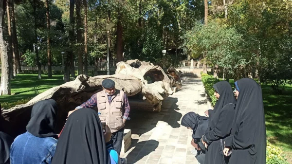 بازدید از کاخ چهلستون