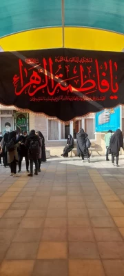 بازدید از نمایشگاه والشمس