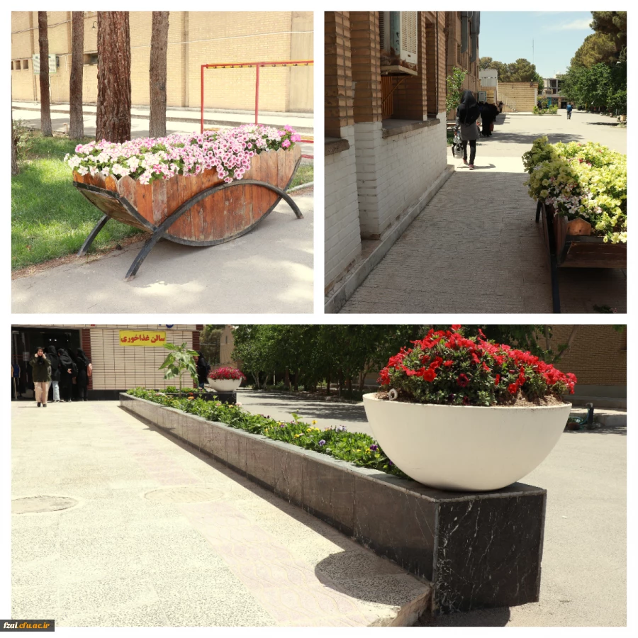 زیباسازی فضای سبز و گلکاری