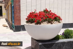 زیباسازی فضای سبز وگلکاری