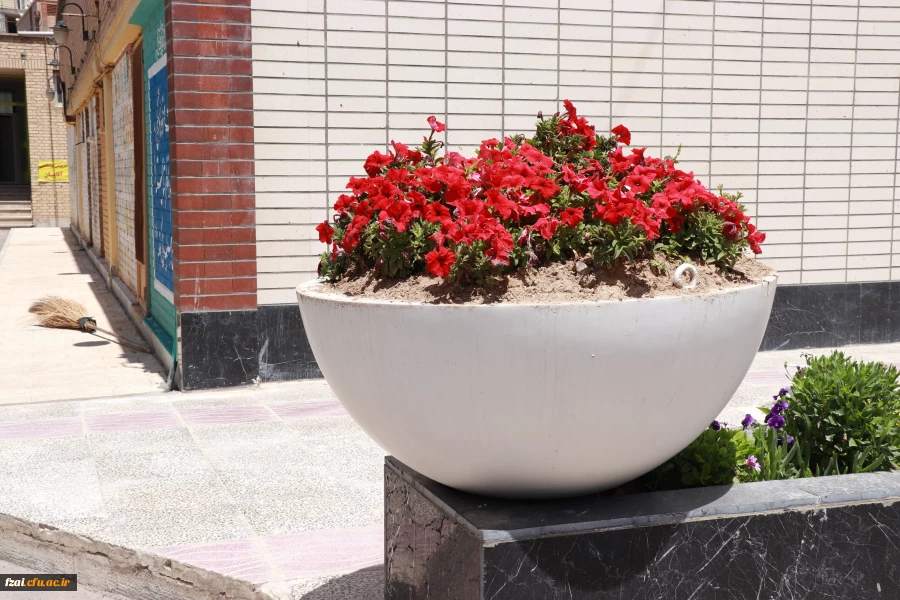 زیباسازی فضای سبز وگلکاری