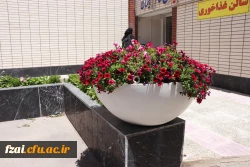 زیباسازی فضای سبز وگلکاری