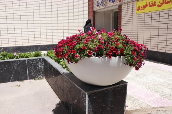 زیباسازی فضای سبز وگلکاری