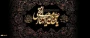 شهادت امام دهم شیعیان امام هادی (ع) تسلیت باد.