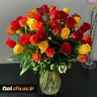 وز معلم، روز بزرگداشتِ جان های شیفته ای ست که دانایی را چراغِ راهِ گمگشتگان می کنند.