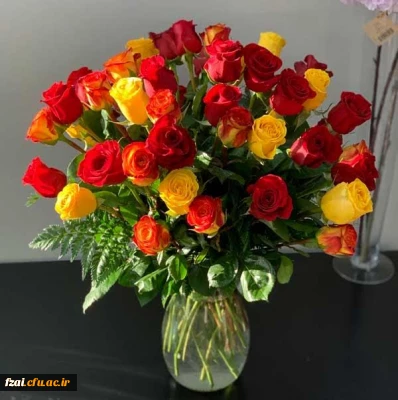 وز معلم، روز بزرگداشتِ جان های شیفته ای ست که دانایی را چراغِ راهِ گمگشتگان می کنند.