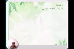 هانیه موحدی